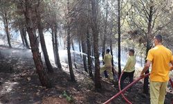 Hatay'da ormanlık alanda çıkan yangın söndürüldü