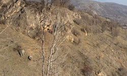 Bolu'da kayıp Alzheimer hastasını arama çalışmalarında 3'üncü gün