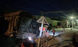 Rusya’da yolcu treni ile yük treni kafa kafaya çarpıştı