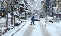 Van, Muş, Hakkari ve Bitlis'te kar yağışı!