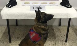 Ayakkabı tabanına gizlediği eroin ile yakalanan şüpheli tutuklandı