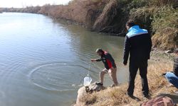 Adana'da balık ölümleri görülen Ceyhan Nehri'nde inceleme sürüyor