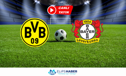 Justin TV | B. Dortmund - B. Leverkusen maçı canlı izle