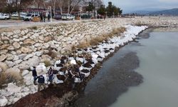 Eğirdir Gölü'nde ot ve yosun temizliği tamamlandı