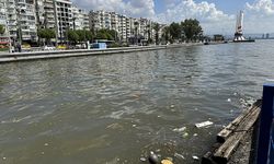 İzmir Körfezi'ndeki kirliliğin sorumlularına soruşturma