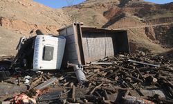 Şırnak'ta devrilen odun yüklü kamyondaki 2 kişi yaralandı