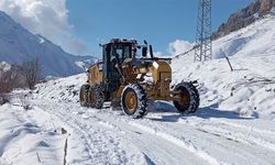 Kastamonu, Tokat ve Sinop'ta kar nedeniyle 217 köye ulaşım sağlanamıyor