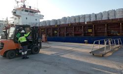 Tunus'tan iade edilen 2 bin 500 ton patates, Mersin'de imha edilecek