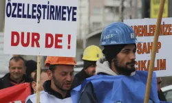Erdoğan imzaladı; Çayırhan'ın özelleştirilmesine onay