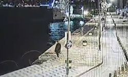 Denize düşüp boğuldu; o anlar kamerada