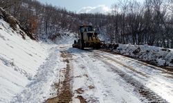 Diyarbakır'da kardan kapanan 20 mahalle yolu ulaşıma açıldı