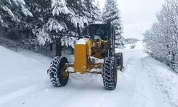 Erzurum ve Ardahan'da kar nedeniyle 12 mahalleye ulaşım sağlanamıyor