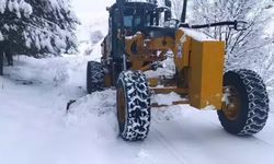 Karadeniz'de 824 yerleşim yerine ulaşım sağlanamıyor