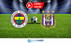 Selcuksports HD | Fenerbahçe - Anderlecht maçı canlı izle