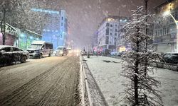 Hakkari'de kar yağışı etkili oluyor