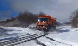 Erzurum, Kars ve Ardahan'da 276 yerleşim yerine ulaşım sağlanamıyor