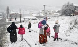 Diyarbakır’ın 2 ilçesinde eğitime ara verildi