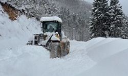 Karadeniz’de kar nedeniyle çok sayıda köyle ulaşım sağlanamıyor