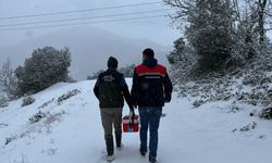 Zonguldak'ta şap hastalığı şüphesiyle bir köyde karantina başlatıldı