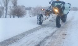 Niğde'de kardan kapanan 79 köy yolu ulaşıma açıldı