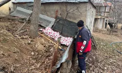 Tunceli'de bahçesinde yaktığı ateşin üzerine düşen kadın öldü