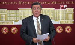 CHP'li Gürer: Don afeti mağduru çiftçilerin zararı karşılansın