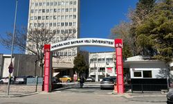 Ankara Hacı Bayram Veli Üniversitesi'nde köpek beslemek yasaklandı