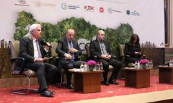 Karbon fiyatlamasında adil geçiş vurgusu