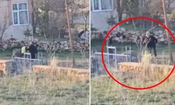 Sivas'ta eşeğe sopayla eziyet: Dövülen eşek hayatını kaybetti
