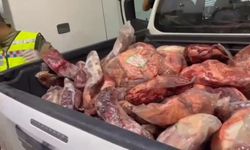 Şanlıurfa’da 1.5 ton kaçak ve bozulmuş et ele geçirildi