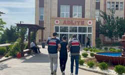 Motosiklete bağladığı köpeği metrelerce sürükleyen şahıs serbest bırakıldı