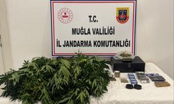 Muğla’da evde uyuşturucu yetiştiren iki kişi gözaltında