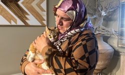 Depremzede kedi Defne'ye 2 yıl sonra yuva