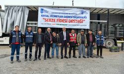 Ankara Büyükşehir’den 9 bin çiftçiye 10,5 milyon sebze fidesi desteği