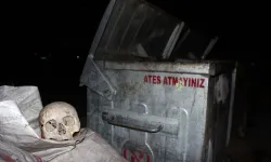 Çöp konteynerinde kafatası bulundu