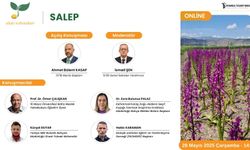 Altın Tohumlar’da 'salep'; yetiştiricilikten katma değere her yönüyle ele alınacak