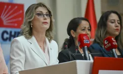 CHP’li Asu Kaya’dan ‘skandal mesaj’ tepkisi: İstifasını isteyeceğim
