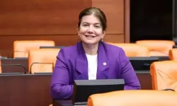 AK Parti Diyarbakır Milletvekili Ataman: Anayasa’da Kürtlerin adı geçecek