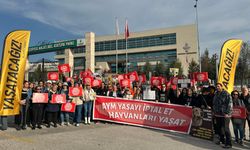 Hayvanları Koruma Kanunu görüşmesi için hak savunucuları AYM önünde toplandı