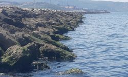 Bandırma’da sahildeki kayalıklar arasında ceset bulundu