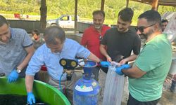 Bolu’da üretilen 5 milyon 230 bin yavru sazan, akarsulara bırakıldı