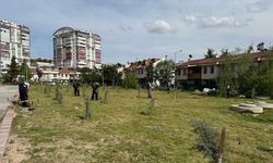 Yenimahalle’de yeşil alanlarda bahar temizliği başladı