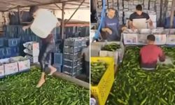 Bakanlıktan 'kötü koşullarda sebze yıkandığı iddiası'na inceleme