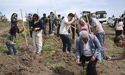 Başkentte şiddete uğrayan kadınların anısına 2 bin fidan dikildi