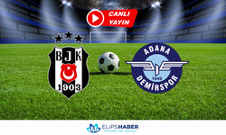 Justin TV | Beşiktaş - Adana Demirspor maçı canlı izle
