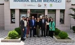 Gençler yapay zekâyı doğru kaynaktan öğreniyor