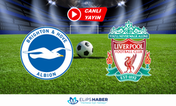 İnat TV | Brighton - Liverpool maçı canlı izle