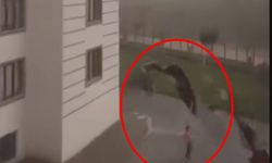 Diyarbakır ve Batman'da fırtına; çatı ve ağaçlar, araçların üzerine devrildi