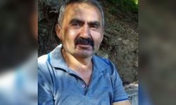 Bolu'da üzerine ağaç devrilen orman işçisi hayatını kaybetti