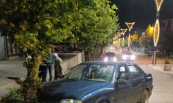 Edirne'de ağaca çarpan otomobilin sürücüsü yaralandı